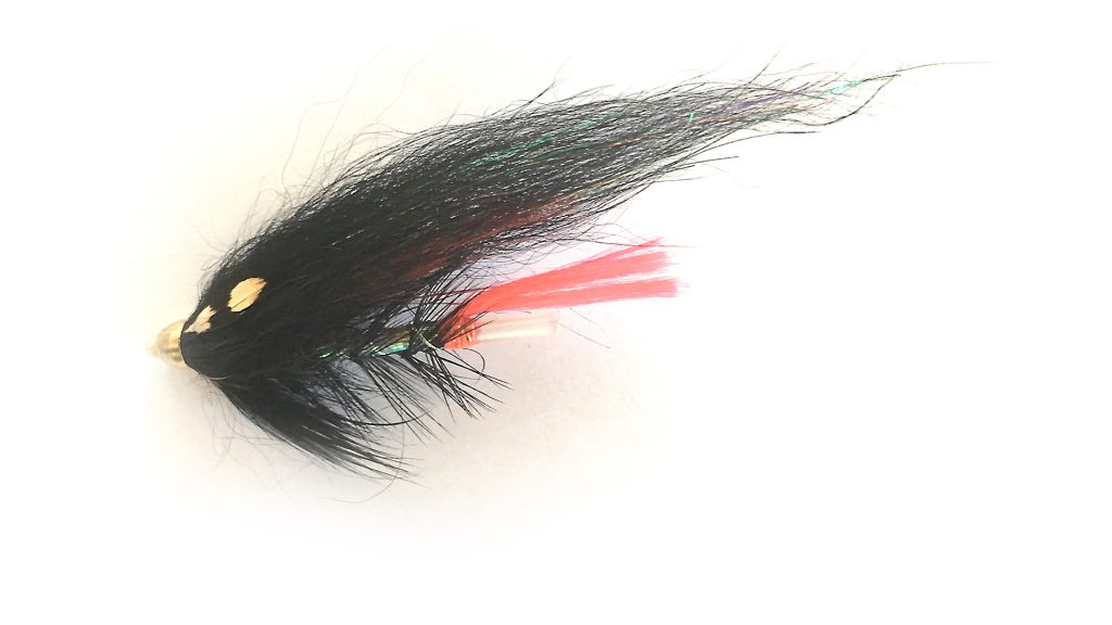 Black wing red tail variant